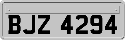 BJZ4294