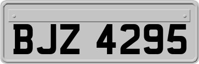 BJZ4295