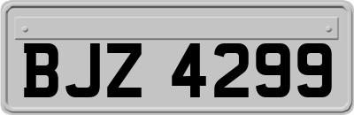BJZ4299