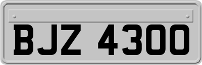 BJZ4300