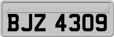 BJZ4309