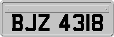 BJZ4318