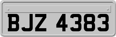 BJZ4383
