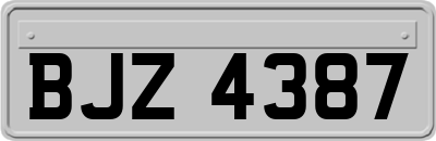 BJZ4387