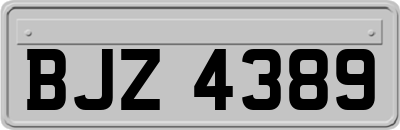 BJZ4389