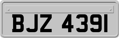 BJZ4391