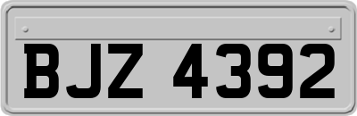 BJZ4392