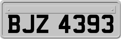 BJZ4393