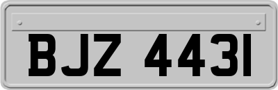 BJZ4431