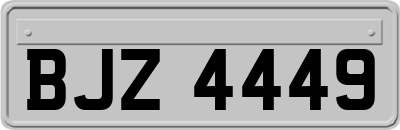 BJZ4449