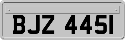 BJZ4451