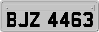 BJZ4463