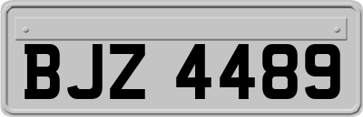 BJZ4489