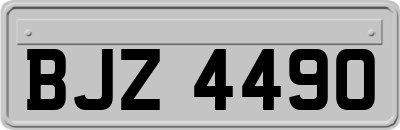 BJZ4490