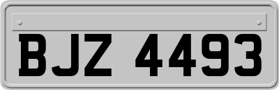 BJZ4493