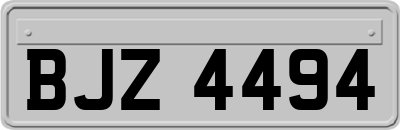 BJZ4494