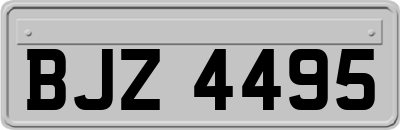 BJZ4495
