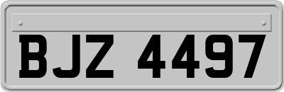 BJZ4497