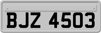 BJZ4503