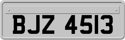 BJZ4513