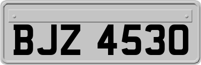 BJZ4530