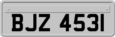BJZ4531