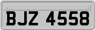 BJZ4558