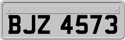 BJZ4573