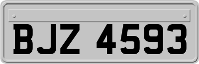 BJZ4593