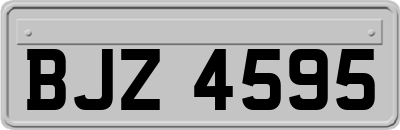BJZ4595