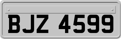 BJZ4599
