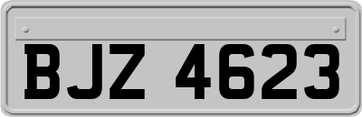 BJZ4623
