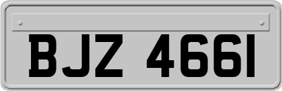 BJZ4661