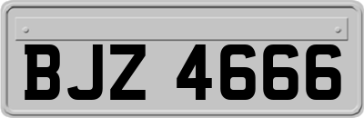 BJZ4666