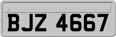 BJZ4667
