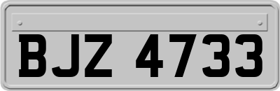 BJZ4733