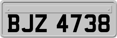 BJZ4738
