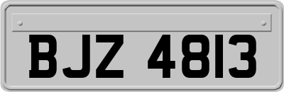 BJZ4813