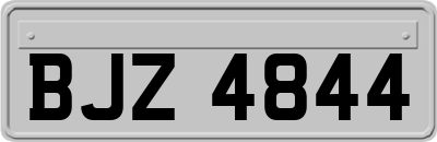 BJZ4844