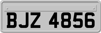 BJZ4856