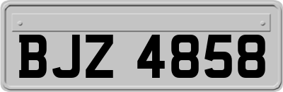 BJZ4858