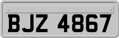 BJZ4867