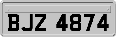 BJZ4874
