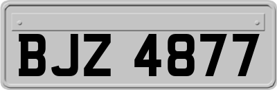 BJZ4877