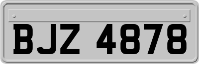 BJZ4878