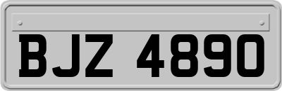 BJZ4890