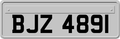 BJZ4891