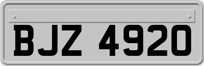 BJZ4920