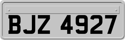 BJZ4927