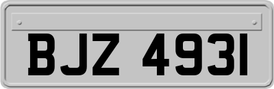 BJZ4931